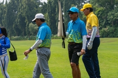 HIRE_83-Golf2024-0664